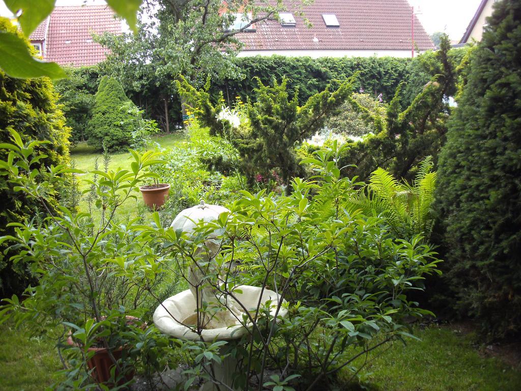 Storchennest Apartamento Grosswudicke Exterior foto